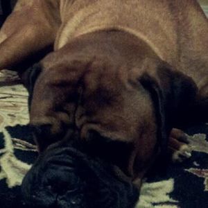 Meet your Posher, Patrick