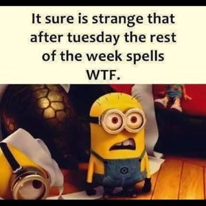 Meet your Posher, Kellie