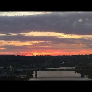 Meet your Posher, Shelley