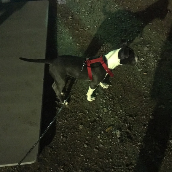 Meet your Posher, Tony