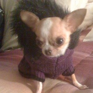 Meet your Posher, Mary