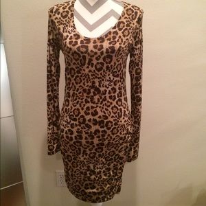 Aqua leopard print long sleeve dress