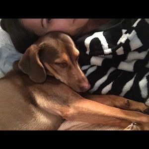 Meet your Posher, Kristin