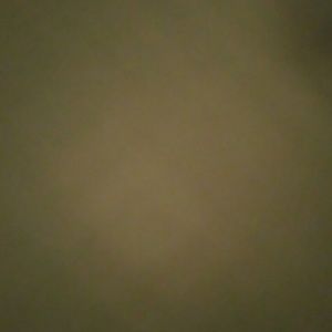 Meet your Posher, Tasha