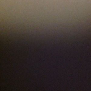 Meet your Posher, Bea