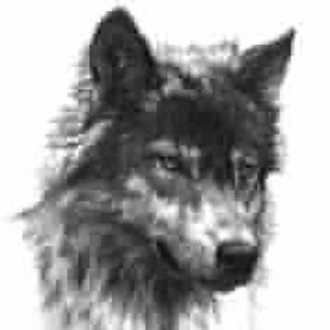 Meet your Posher, Danny