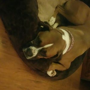 Meet your Posher, Tara