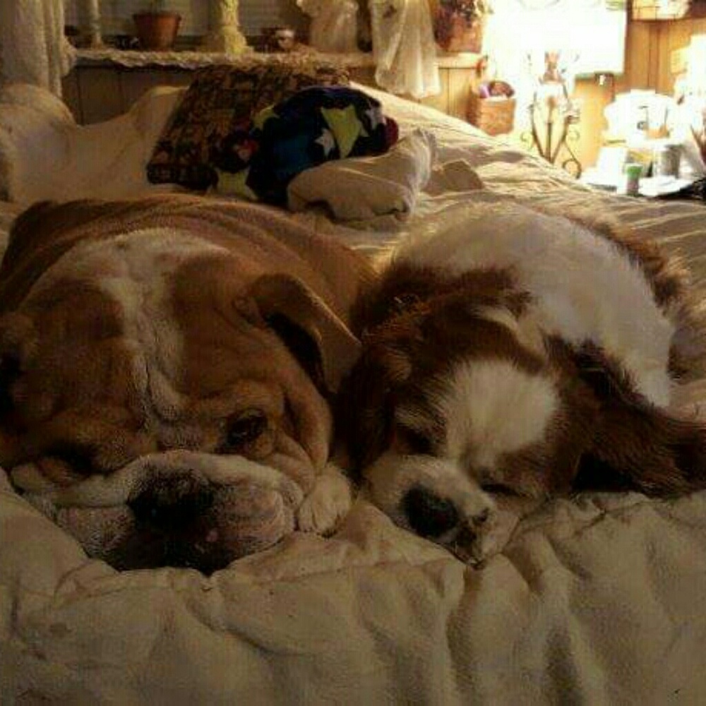 Meet your Posher, Rebecca