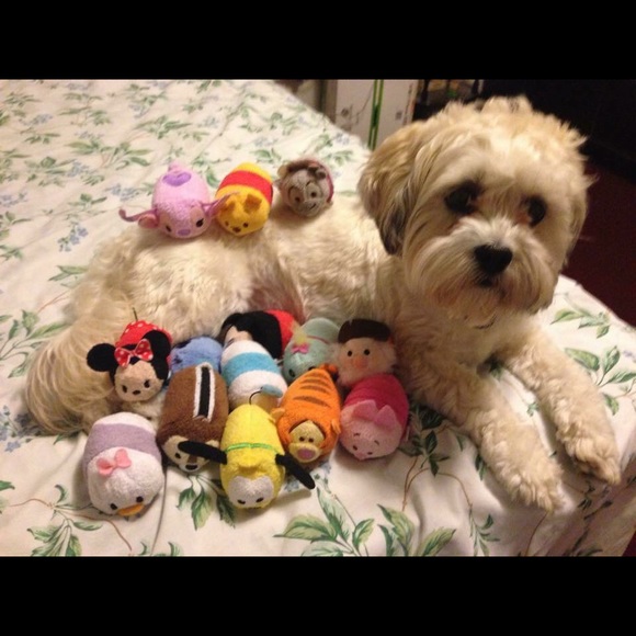 Meet your Posher, Jane