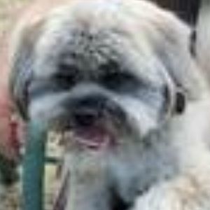 Meet your Posher, Helen