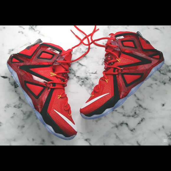 lebron 12 elite team