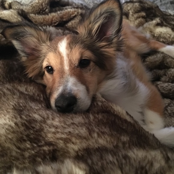 🩵Suggested User- Tiff 🩵240K followers & Growing - Picture 7 of 8