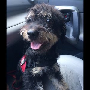 Meet your Posher, Ray