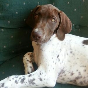 Meet your Posher, Janelle