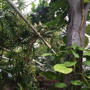 Meet your Posher, Laurel