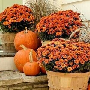 Meet your Posher, Vickie