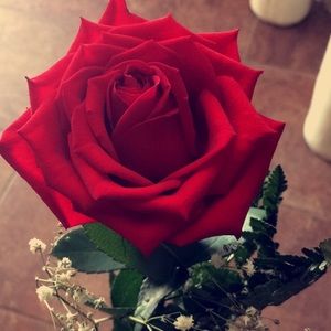 Meet your Posher, Iris