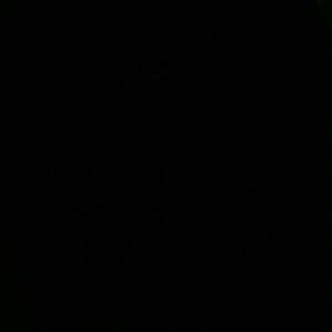 Meet your Posher, Kellie