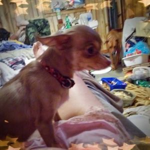 Meet your Posher, Sharon