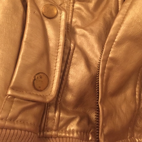 Gold Jacket - Picture 3 of 4