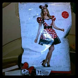 Disney Adult Minnie Mouse Costume