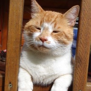 Meet your Posher, Donna