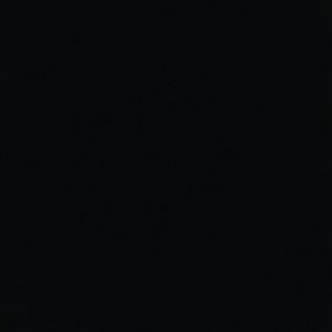 Meet your Posher, George