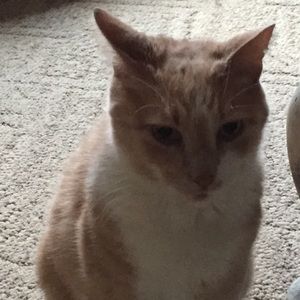 Meet your Posher, Vicki