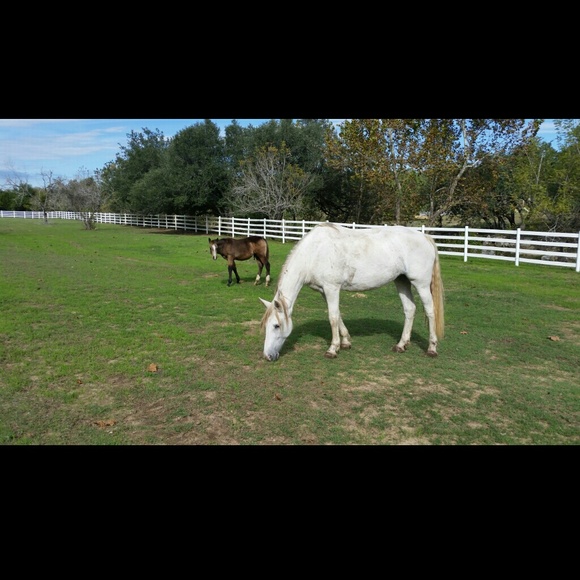 Meet your Posher, Kristi