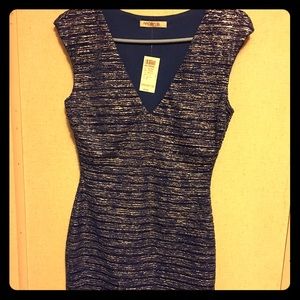 Arden B dress