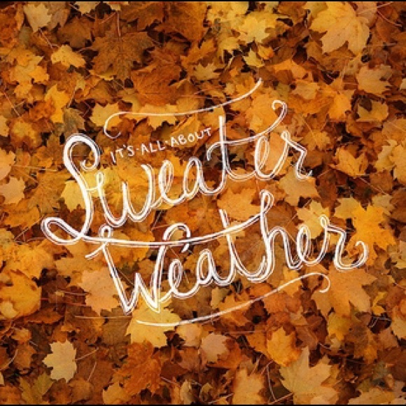 Y'all........it's sweater weather!