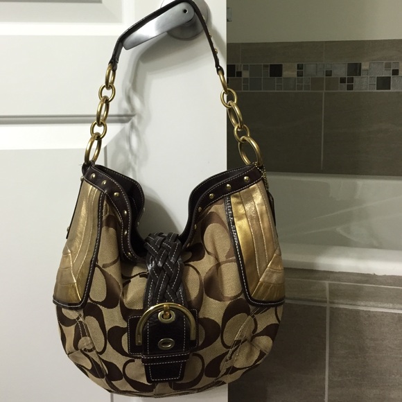 Limited Edition Chevron bag