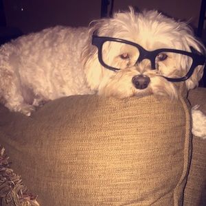 Meet your Posher, Jami