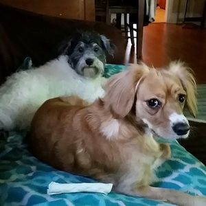 Meet your Posher, Courtney