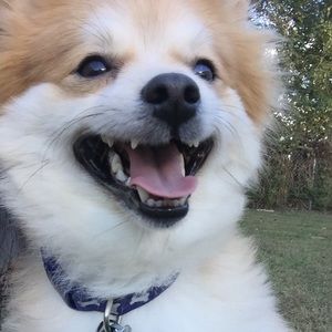 Meet your Posher, Gloria