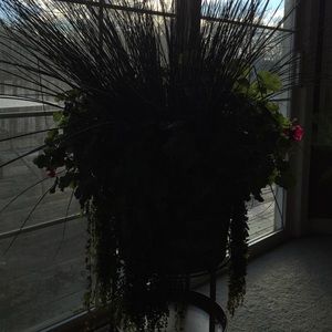 Meet your Posher, Chrissy