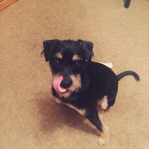 Meet your Posher, Olivia