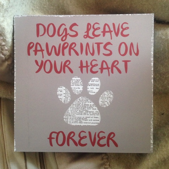 Dog decoration box decor