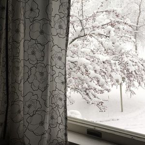 Meet your Posher, Cassidy