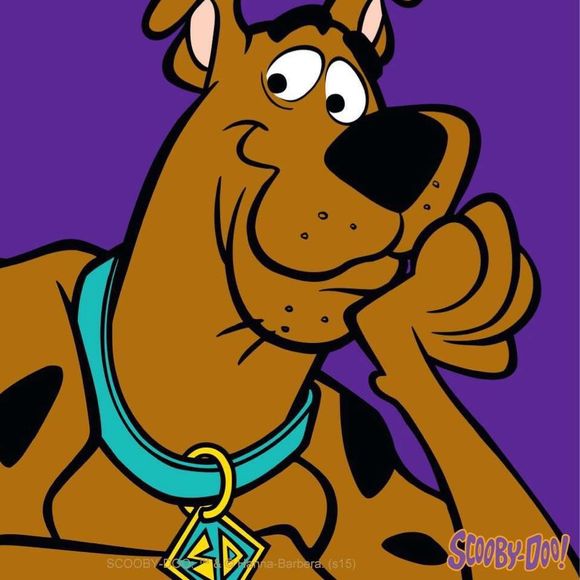 Meet your Posher, Paula - Picture 1 of 1