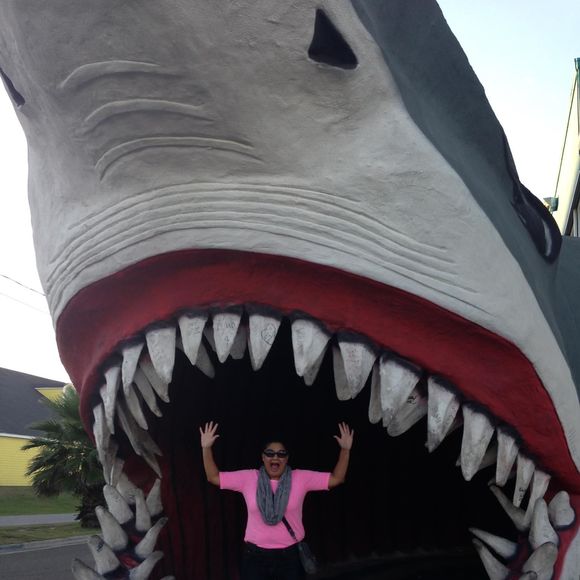 Meet your Posher, Melissa - Picture 1 of 1