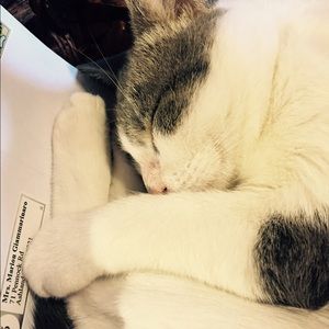 Meet your Posher, Denise