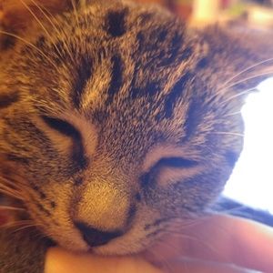 Meet your Posher, Ericka