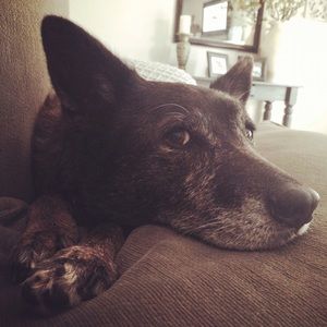 Meet your Posher, Stacy