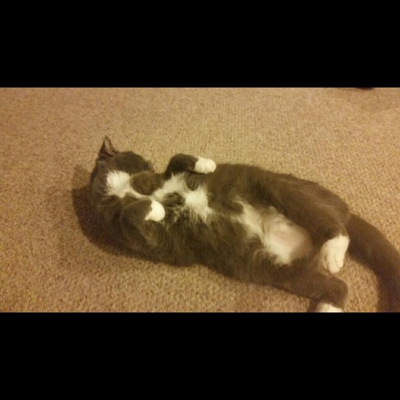 Meet your Posher, Dina