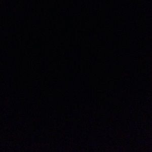 Meet your Posher, Bridget