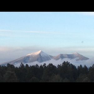 Meet your Posher, Heidi