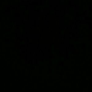 Meet your Posher, Dominique