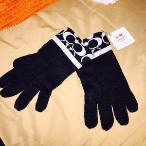 Coach Gloves