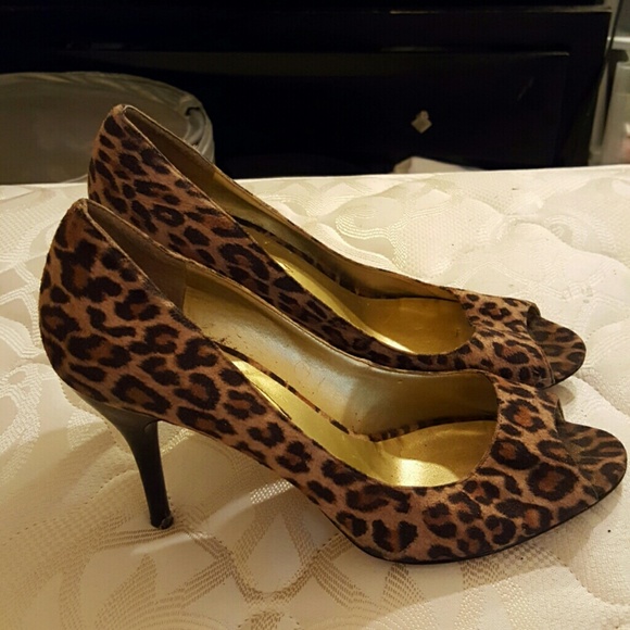 Shoe's